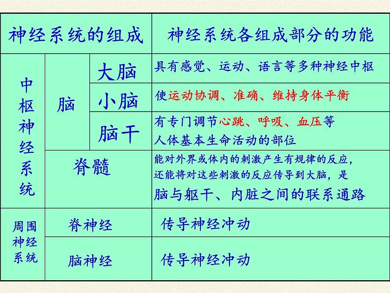 北师大版生物七年级下册 第12章 第1节 神经系统与神经调节(7)（课件）第6页