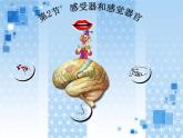 北师大版生物七年级下册 第12章 第2节 感受器和感觉器官(4)（课件）