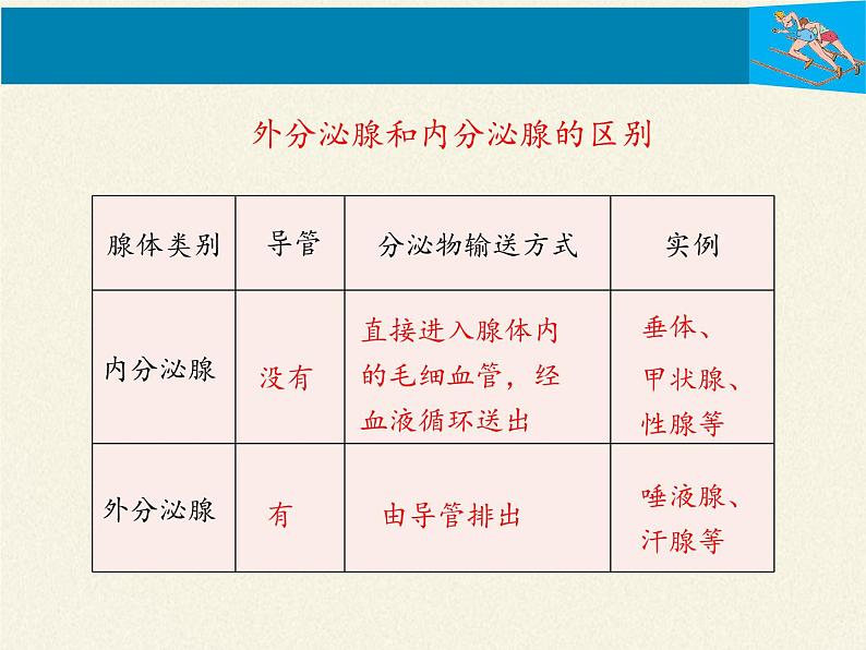 北师大版生物七年级下册 第12章 第3节 激素调节（课件）06