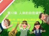北师大版生物七年级下册 第12章 第1节 神经系统与神经调节（课件）
