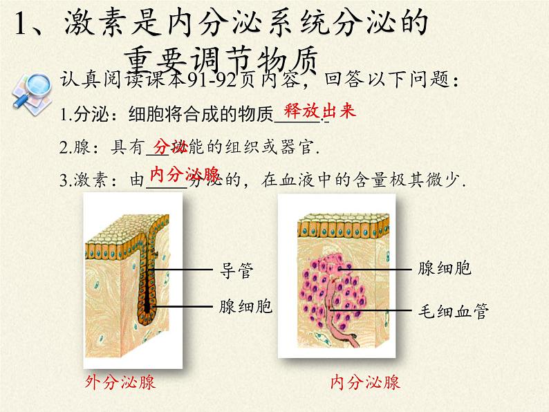 北师大版生物七年级下册 第12章 第3节 激素调节(21)（课件）第4页