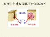 北师大版生物七年级下册 第12章 第3节 激素调节(9)（课件）