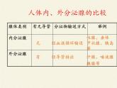 北师大版生物七年级下册 第12章 第3节 激素调节(9)（课件）