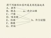 北师大版生物七年级下册 第12章 第3节 激素调节(9)（课件）