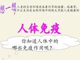 北师大版生物七年级下册 第13章 第3节 人体免疫(12)（课件）