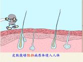 北师大版生物七年级下册 第13章 第3节 人体免疫(16)（课件）
