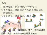 北师大版生物七年级下册 第13章 第3节 人体免疫(13)（课件）