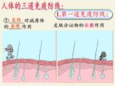 北师大版生物七年级下册 第13章 第3节 人体免疫(13)（课件）