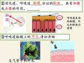 北师大版生物七年级下册 第13章 第3节 人体免疫(13)（课件）