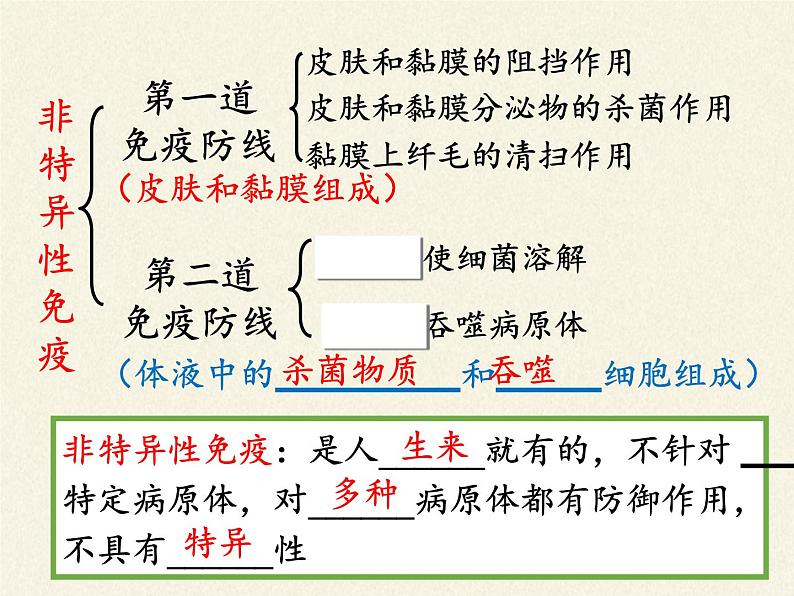 北师大版生物七年级下册 第13章 第3节 人体免疫(13)（课件）第8页