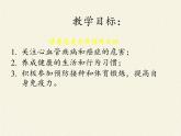 北师大版生物七年级下册 第13章 第3节 人体免疫(10)（课件）