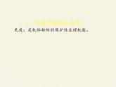 北师大版生物七年级下册 第13章 第3节 人体免疫(22)（课件）