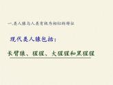 北师大版生物七年级下册 第13章 第4节 当代主要疾病和预防(8)（课件）