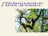 北师大版生物七年级下册 第13章 第4节 当代主要疾病和预防(8)（课件）