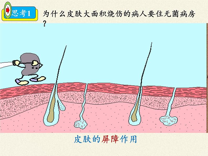 北师大版生物七年级下册 第13章 第3节 人体免疫(7)（课件）04