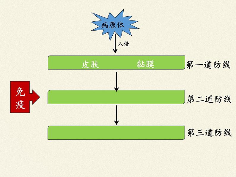 北师大版生物七年级下册 第13章 第3节 人体免疫(7)（课件）06