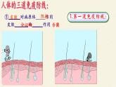 北师大版生物七年级下册 第13章 第3节 人体免疫(1)（课件）