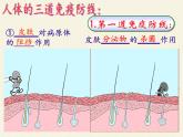 北师大版生物七年级下册 第13章 第3节 人体免疫(4)（课件）