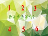 北师大版生物七年级下册 第13章 第4节 当代主要疾病和预防(4)（课件）
