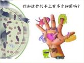 北师大版生物七年级下册 第13章 第3节 人体免疫(5)（课件）