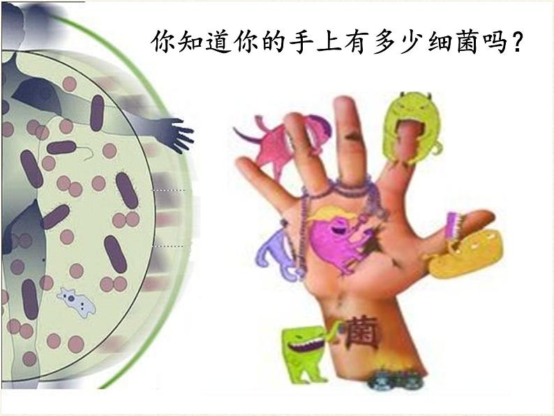 北师大版生物七年级下册 第13章 第3节 人体免疫(5)（课件）02