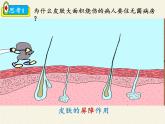 北师大版生物七年级下册 第13章 第3节 人体免疫(5)（课件）