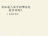 北师大版生物七年级下册 第13章 第3节 人体免疫（课件）
