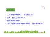 北师大版生物七年级下册 第13章 第3节 人体免疫_（课件）