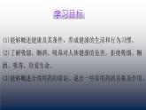 北师大版生物七年级下册 第13章 第1节 健康及其条件(2)（课件）
