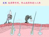 北师大版生物七年级下册 第13章 第3节 人体免疫(9)（课件）