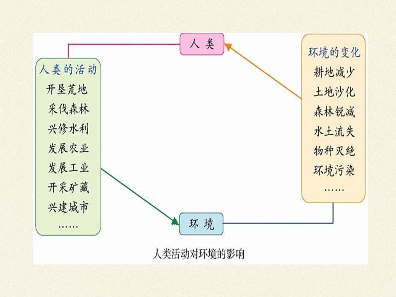 北师大版生物七年级下册 第14章 第1节 人类活动对生物圈的影响(5)（课件）第5页