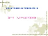 北师大版生物七年级下册 人体产生的代谢废物（课件）