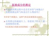 北师大版生物七年级下册 人体产生的代谢废物（课件）