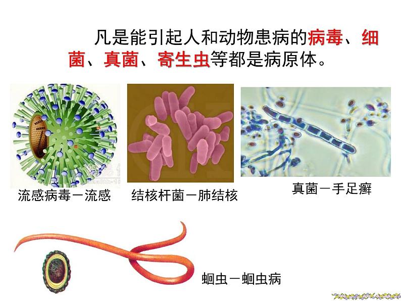 北师大版生物七年级下册 预防传染病（课件）第6页