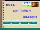 北师大版生物七年级下册 心脏与血液循环（课件）