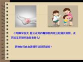 北师大版生物七年级下册 心脏与血液循环（课件）