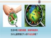 北师大版生物七年级下册 人体免疫（课件）