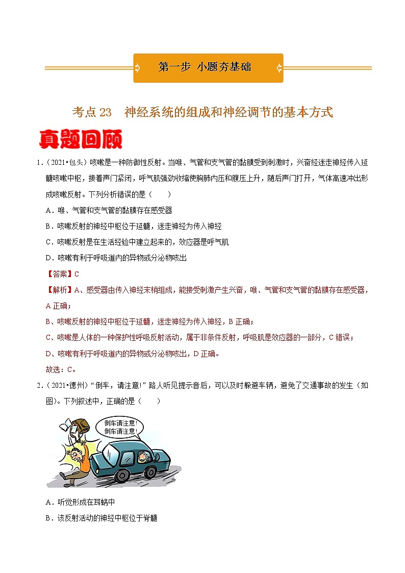 考点23 神经系统的组成和神经调节的基本方式- 《三步冲刺中考 生物》之第1步小题夯基础第1页