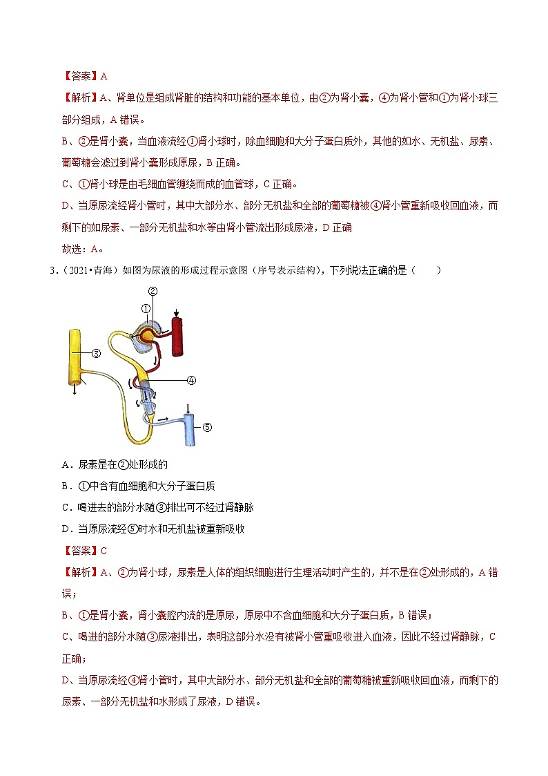 考点21 人体内废物的排出- 《三步冲刺中考 生物》之第1步小题夯基础第2页