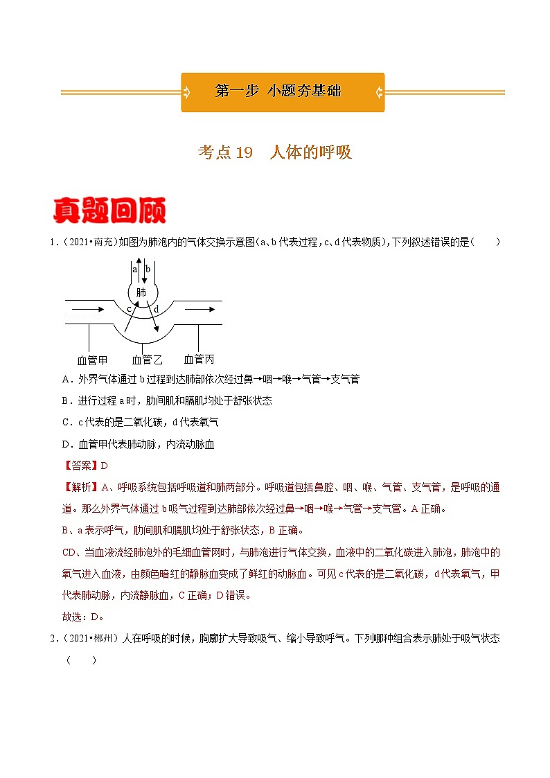 考点19 人体的呼吸- 《三步冲刺中考 生物》之第1步小题夯基础第1页