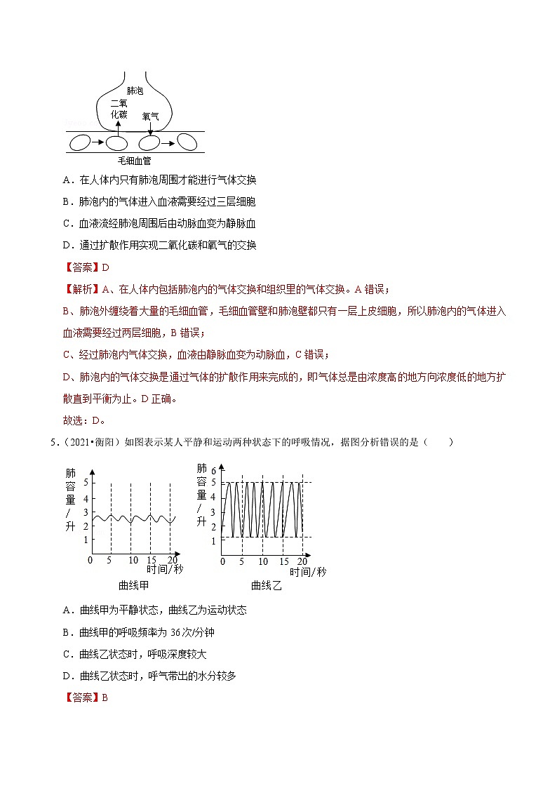 考点19 人体的呼吸- 《三步冲刺中考 生物》之第1步小题夯基础第3页
