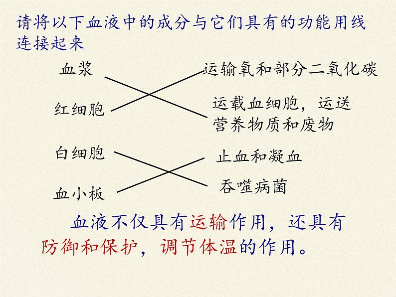 北师大版生物七年级下册 第九章 人体内的物质运输（课件）第4页