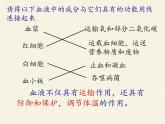 北师大版生物七年级下册 第九章 人体内的物质运输（课件）