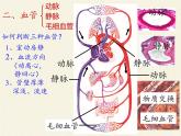 北师大版生物七年级下册 第九章 人体内的物质运输（课件）