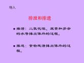 北师大版生物七年级下册 第11章 第2节 尿液的形成与排出（课件）
