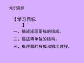 北师大版生物七年级下册 第11章 第2节 尿液的形成与排出（课件）