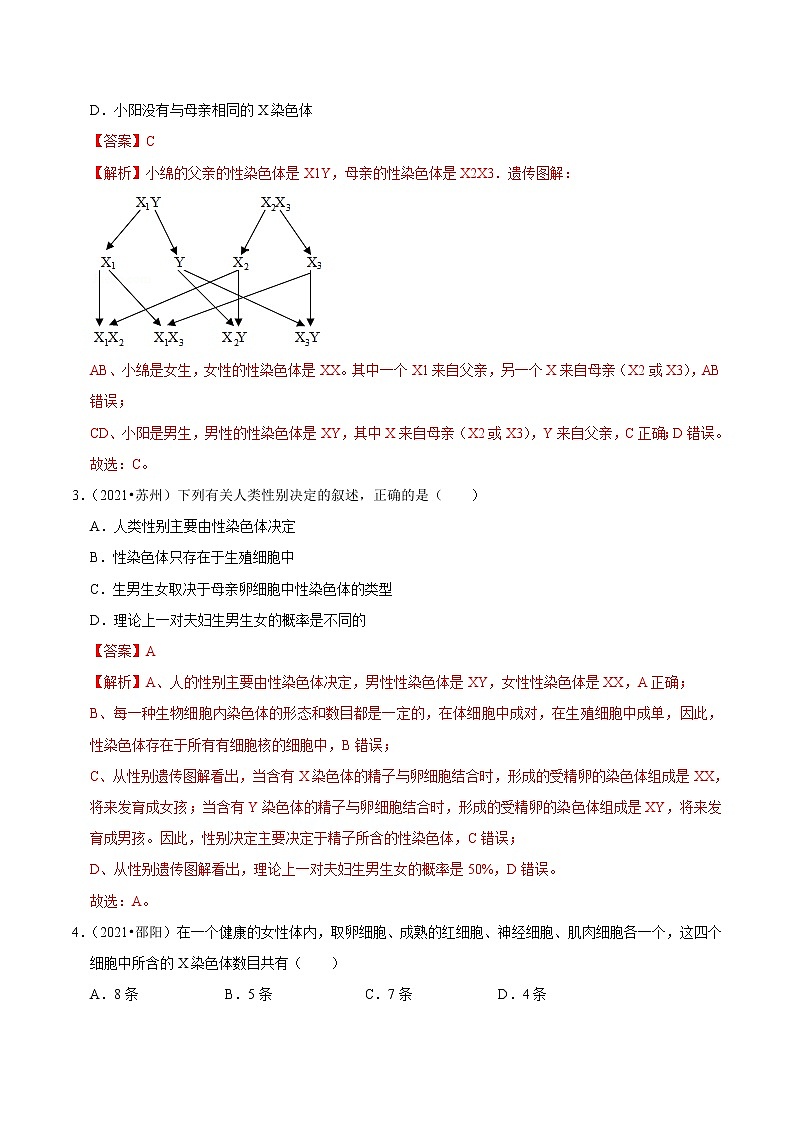 考点32 人的性别决定- 《三步冲刺中考 生物》之第1步小题夯基础第2页