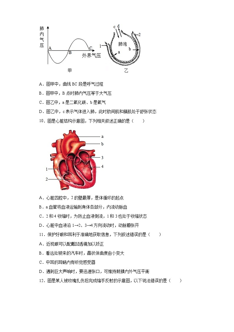 2022年山东省济南市莱芜区中考一模生物试题(word版含答案)第3页