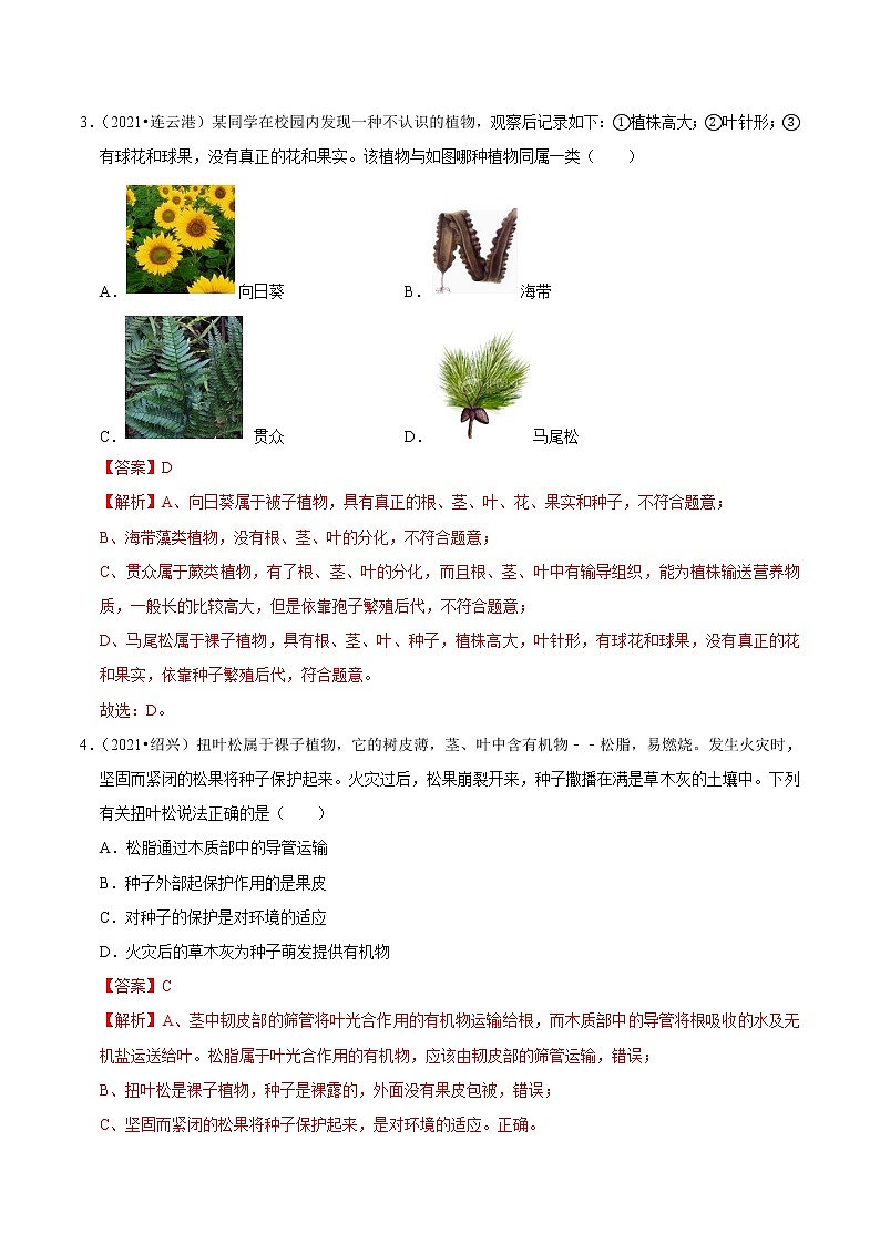 考点10 种子植物- 《三步冲刺中考 生物》之第1步小题夯基础第2页