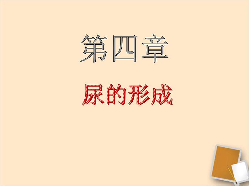 北师大版生物七年级下册 第11章 第2节 尿的形成（课件）第1页